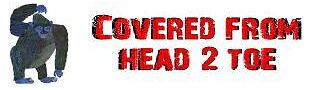 covered_from_head_2_toe