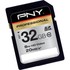 Flash Memory Card: PNY 32 GB SDHC Card - OEM - (P-Sdh32G10-Efs2)