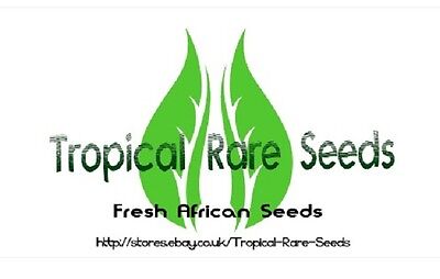 Tropical Rare Seeds