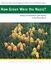 Book: How Green Were the Nazis? : Nature, Environment, and Nation in the Third Re...
