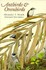 Book: Antbirds and Ovenbirds : Their Lives and Homes by Alexander Frank Skutch (1...