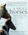 Book: Angel Horses : Divine Messengers of Hope by Allen Anderson and Linda C. And...