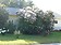 WildWoodHome WildWoodHome
