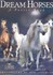 Book: Dream Horses : A Poster Book (2004, Paperback)