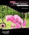 Book: Foundation HTML5 Canvas : For Games and Entertainment by Rob Hawkes, Steve ...