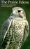 Book: The Prairie Falcon by Stanley H. Anderson and John R. Squires (1997, Paperb...