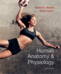 Human Anatomy and Physiology by Jon Mallatt, Elaine N. Marieb, Elaine Nicpon Marieb, Patricia Brady Wilhelm and Katja N. Hoehn (2011, CD-ROM / Hardcover, Revised) Image