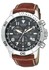Wrist Watch: Citizen Flax art & design 13660-1519651 BL5250-02L Wrist Watch for Men
