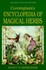 Book: Cunningham's Encyclopedia of Magical Herbs 1 by Scott Cunningham (2000, Pap...
