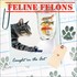 Book: Feline Felons : Caught in the Act by Ariel Books Staff and Debbie Keller (2...