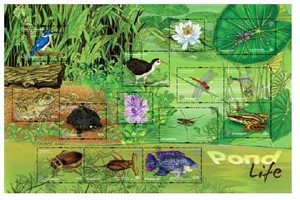Pond Life Animals