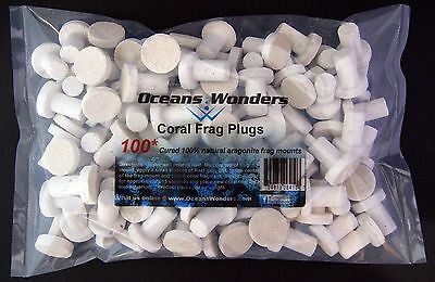 100 CURED REEF PLUGS FOR LIVE CORAL ...