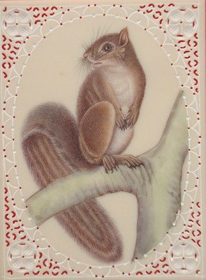 Animal Squirrels Handmade Indian Miniature Painting Artwork Artist Gallery tree