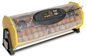  Octagon-40-Advance-Fully-Automatic-Egg-Incubator-Hatcher-with-Cooling