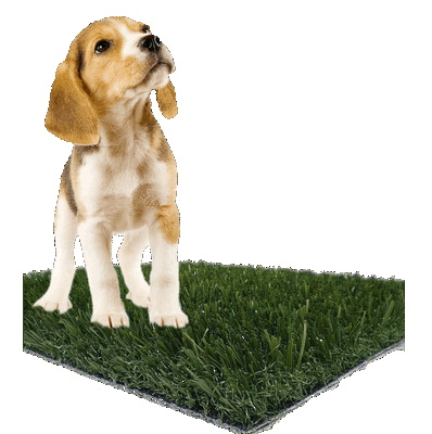 Premium Artificial Grass, Synthetic Turf, Pet Turf, ...