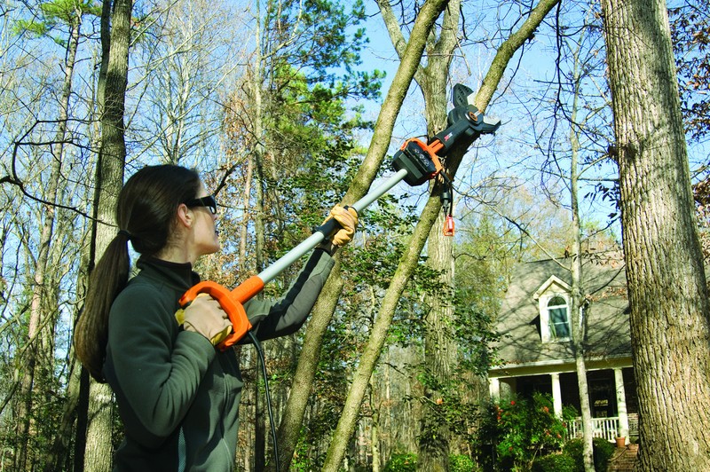 WG308 WORX JawSaw Electric Chainsaw + Extension Pole Accessory Combo eBay