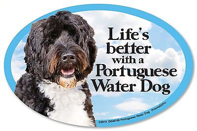 Life's better with a Portuguese Water Dog 6