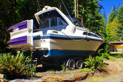 Bayliner 2850 Designer Addition with livenston 8 ft dingy
