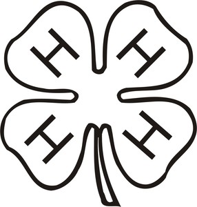 4H Clover Symbol Vinyl Decal Sticker Car Window Wall Printed