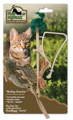PLAY-N-SQUEAK BATTING PRACTICE - Catnip Squeak Hang ...