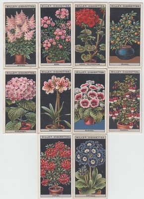 Lot of 12 Antique Flowers Cards from ...