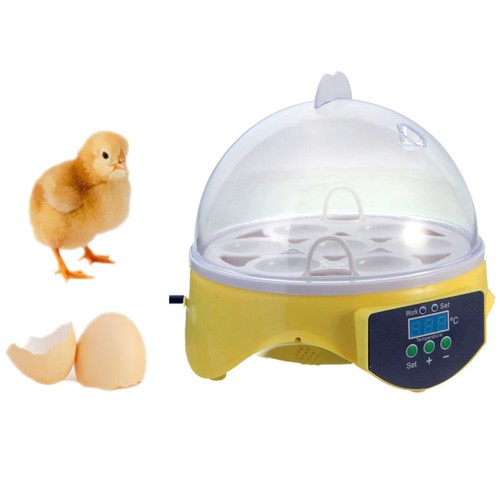 Chicken Duck 7 Egg Incubator Digital Clear ...