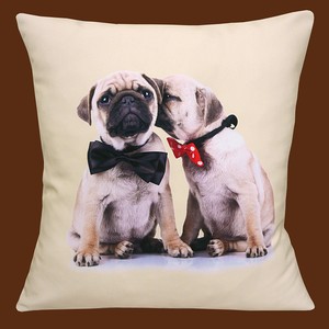 CUTE-COUPLE-OF-WHISPERING-PUG-DOGS-BOW-TIES-PHOTO-PRINT-16-Pillow-Cushion-Cover