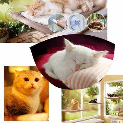 Window Mounted Cat  Seat Pets Sunny ...