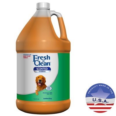 Fresh 'n Clean Scented Shampoo, Gallon