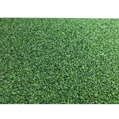 UPC 854906003753 product image for Turf Evolutions 3.75 Ft. X 9 Ft. Truline Platinum Putt Indoor/outdoor Turf | upcitemdb.com