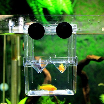 Floating Fish Breeding Isolation Box Incubator for ...