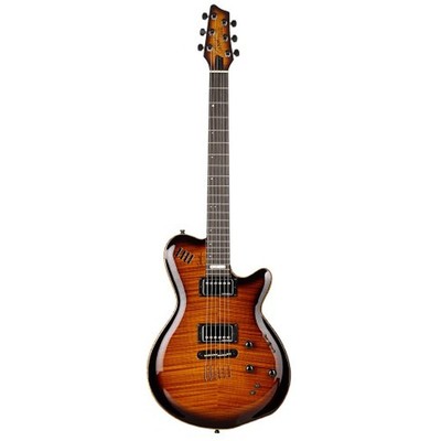 UPC 623501024094 product image for Godin Lgx-sa Aaa Flamed Maple Top Electric Guitar Cognac Burst | upcitemdb.com