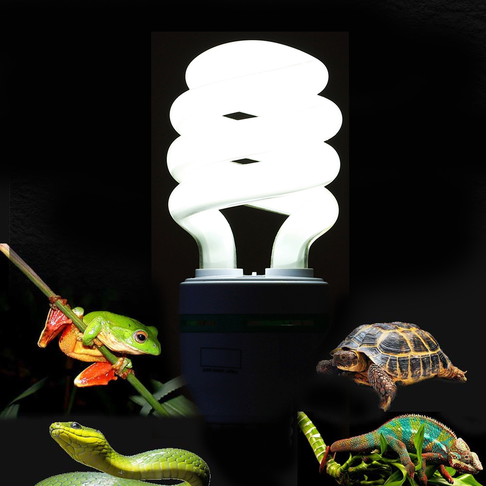 Rays Auto Sales >> 5.0 UVB 13W Reptile Light Bulb UV Lamp for Vivarium ... Rays Auto Sales >> 5.0 UVB 13W Reptile Light Bulb UV Lamp for Vivarium ...