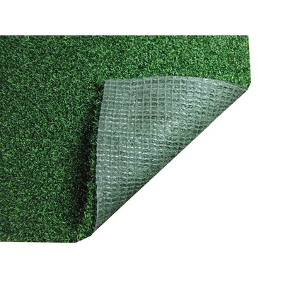 UPC 854906003791 product image for Turf Evolutions 15 Ft X 1.0 Custom Length Truline Platinum Putt Artificial Turf | upcitemdb.com