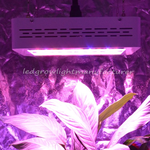 Mars Hydro 300 Full Spectrum LED Grow ...