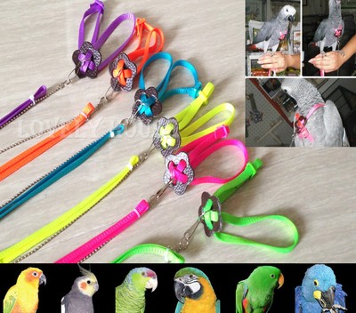 Adjustable Parrot/Bird Harness Multicolored