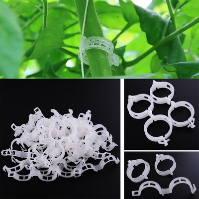 New 50Pcs Plant Clips Vine Vegetables plants ...