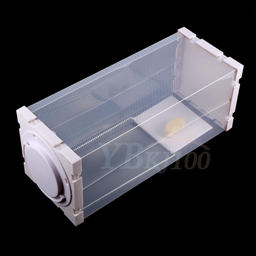 Durable humane rat trap cage live pest rodent mice mouse