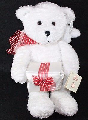 Angel Teddy Bear Plush White Gift Box Best Friend Bear Gracee Princess Soft (Best Friend Teddy Bear Gift)