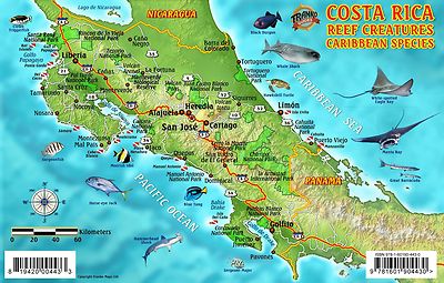 costarica地图, costa rica dive map & caribbean reef creatures laminated fish