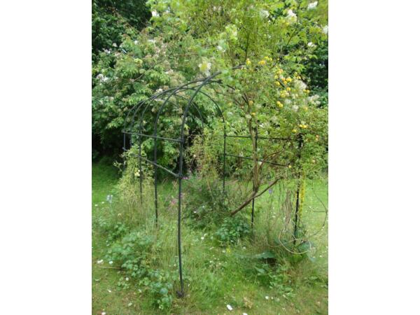 EXTENDED ORNAMENTAL WALK THROUGH METAL GARDEN ARCH ARBOUR FOR CLIMBING PLANTS ROSES Shere Picture 1