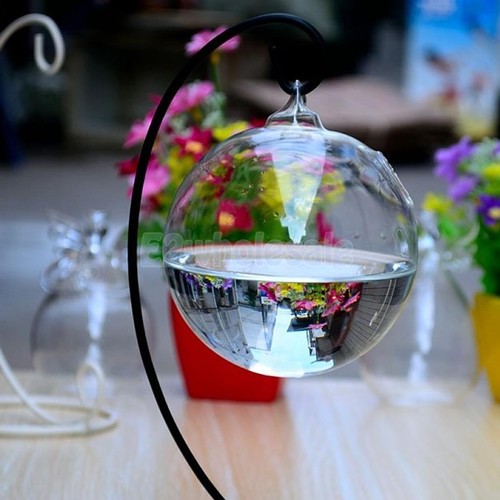 Glass Wall Hanging Vase Bottle Terrarium Container ...