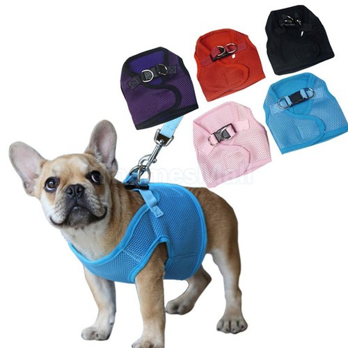 Pet Puppy Dog Soft Mesh Walking Collar ...