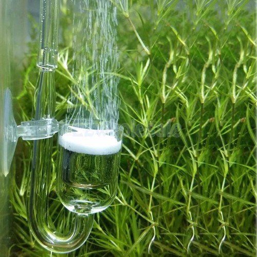 Plant Aquarium CO2 Diffuser Glass Carbon Dioxide ...