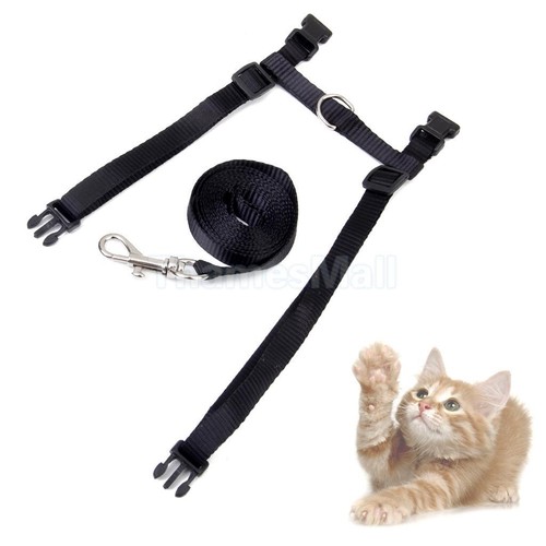 Pet Cat Kitten Nylon Lead Leash Adjustable ...