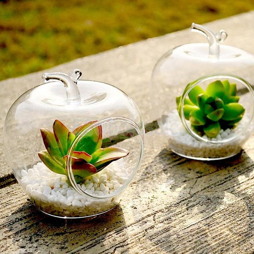 Clear Apple Glass Hanging Vase Bottle Terrarium ...