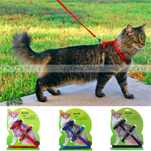 Pet Cat Kitten Adjustable Harness Collar Durable ...