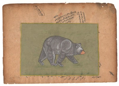 Antique Miniature Painting Artwork Art Gallery Animal American black bear INDIA