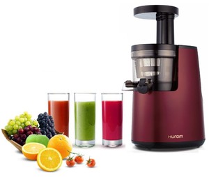 Hurom Slow Juicer HH / HU 700 2. Generation EBE 11 Rot 40U/min Elite eBay