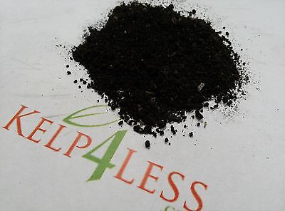 5 LBS The Best Organic Worm Castings Odorless Soil Enhancer for All (Best Plants For Home Garden)